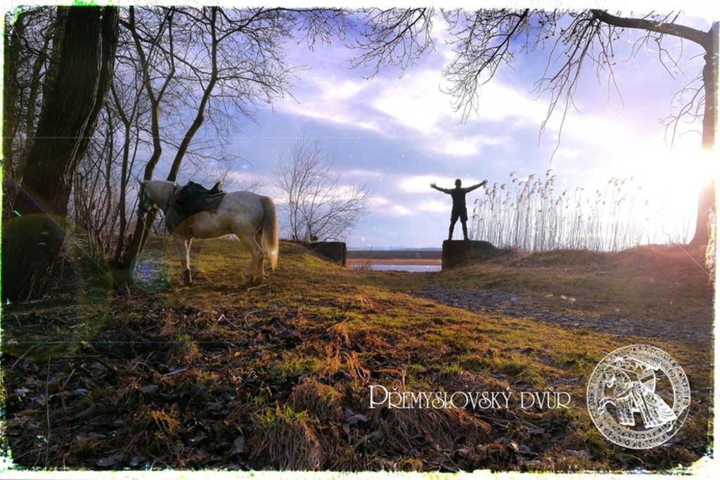 Appartamento Premyslovsky Dvur Slezske Pavlovice Esterno foto